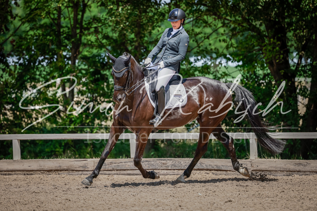 20250621-_3LI8280 | Tierfotografie Pferde, Hunde, Katzen, Haustiere.
Turnierfotografie Reitturniere, Reiten, Springreiten, Dressur in Hanau, dem Main-Kinzig-Kreis und dem Rhein-Main- Gebiet um Frankfurt