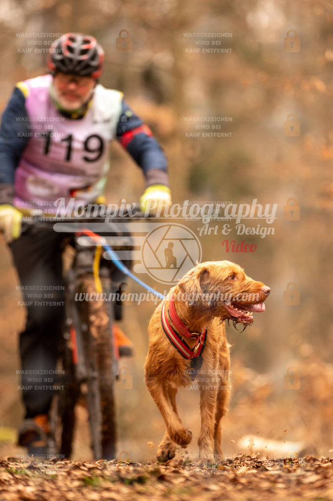 AKM_ST_2023_SAM_Bike-149 | PayLife