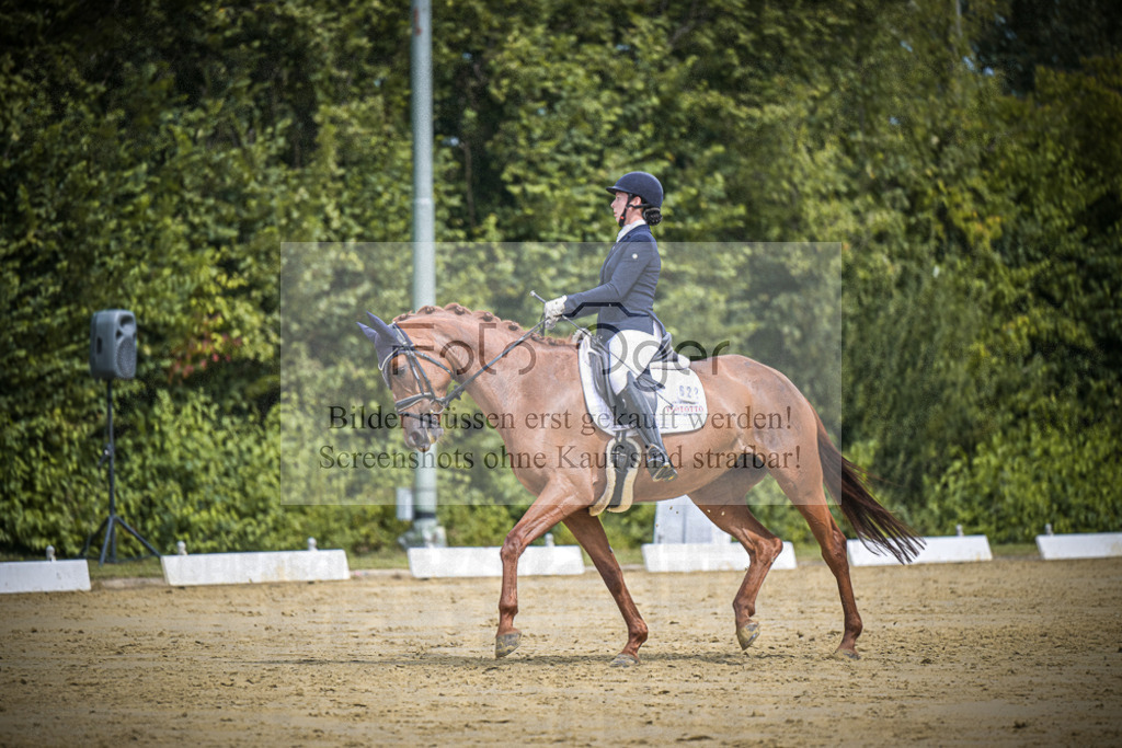 DOS_2464 | Entdecke hochwertige Reitturnierfotos von Foto Oger. Professionell, emotional und authentisch – jetzt Lieblingsmomente im Shop bestellen.Deutschlandweite Turnierfotografie. - Realisiert mit Pictrs.com