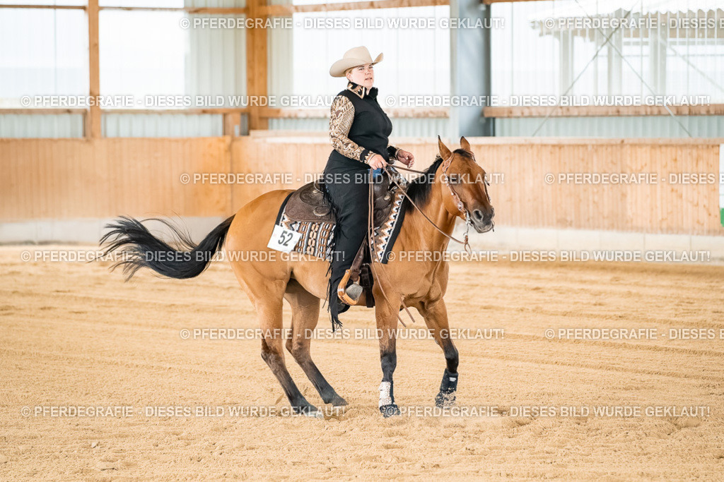 DSC03016 | Pferdegrafie