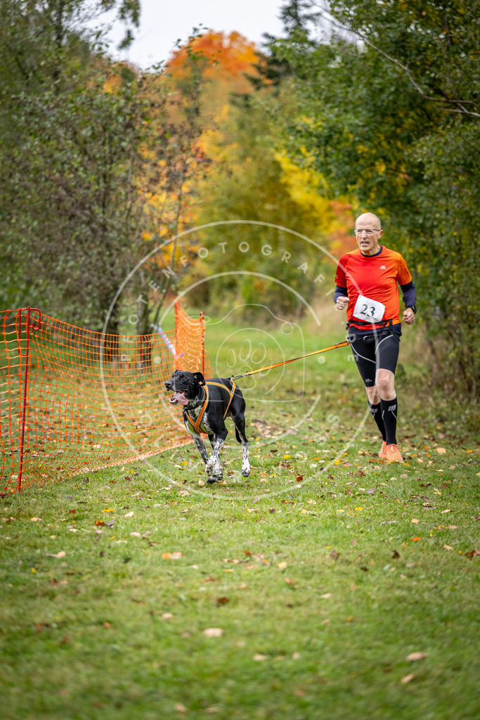 Pfotenfotografie_DV3A1963 | Hundefotografie, Tierfotograf, Pfotenfotografie, Fotoshooting Hund, Hunde Portrait, Hundesport, Hundeportraits, Heideshooting, Hunde, Sportfotograf, Hundefotograf, Turnierhundsport, THS,  - Realisiert mit Pictrs.com