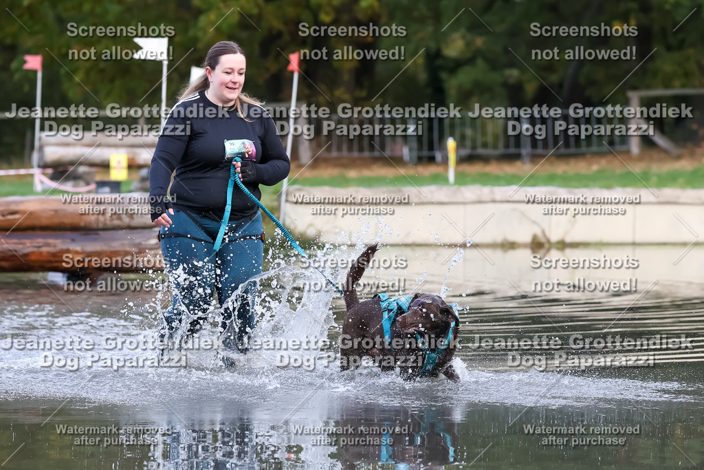 Dog Paparazzi - Strongdog 10-25-6344 | Dog Paparazzi Jeanette Grottendiek Fotografie & Videografie - Realisiert mit Pictrs.com