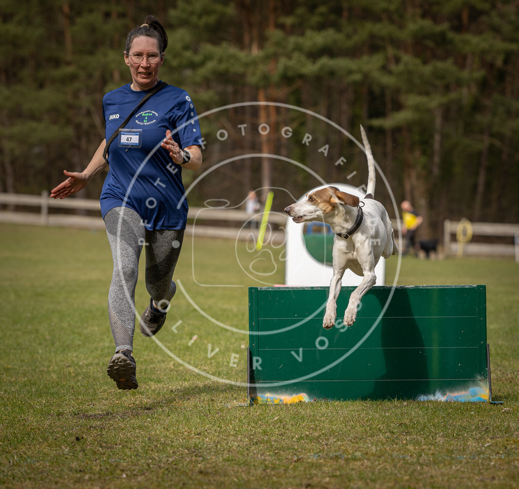 Pfotenfotografie_DV3A9039 | Hundefotografie, Tierfotograf, Pfotenfotografie, Fotoshooting Hund, Hunde Portrait, Hundesport, Hundeportraits, Heideshooting, Hunde, Sportfotograf, Hundefotograf, Turnierhundsport, THS,  - Realisiert mit Pictrs.com