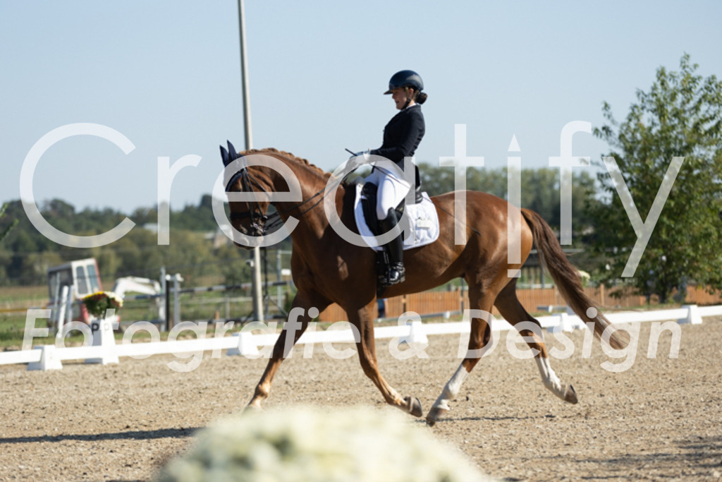 IMG_0492 | Creatify Fotografie