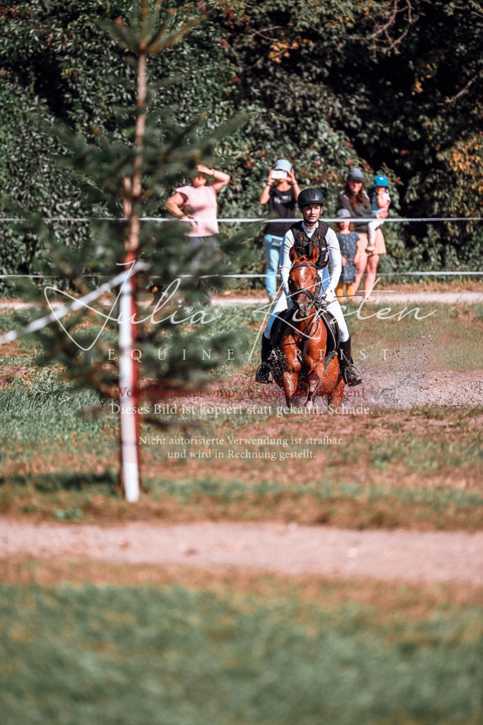 DSC_0884 | Pferde- und Turnierfotografie in Westsachsen. Pferdeportraits, Auftragszeichnungen und intuitive Kunst.