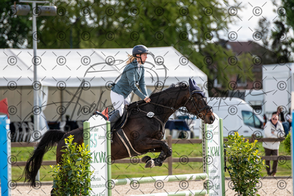 KPT_4843 | andre_photographic