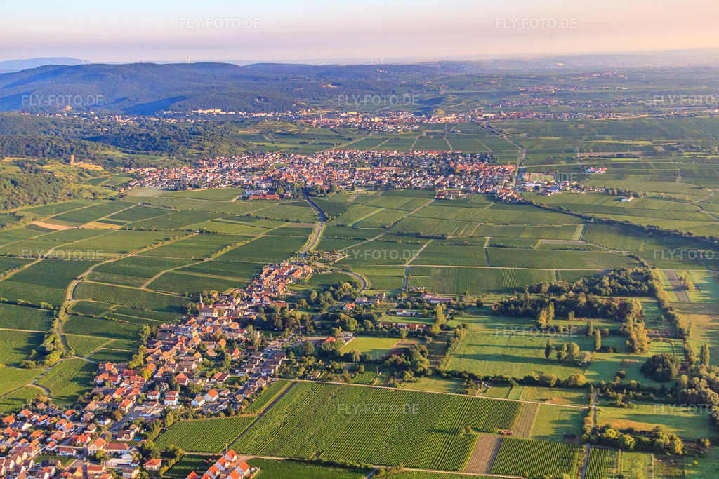 Luftbild: Winzerdorf aus Süden Im Hintergrund Wachenheim am Haardtrand des Pfälzerwalds im Morgenlicht in Forst an der Weinstraße im Bundesland Rheinland-Pfalz in Deutschland. Foto: IMG_44393.jpg vom 20.08.2011 durch Werner Riehm/FLY-FOTO.de