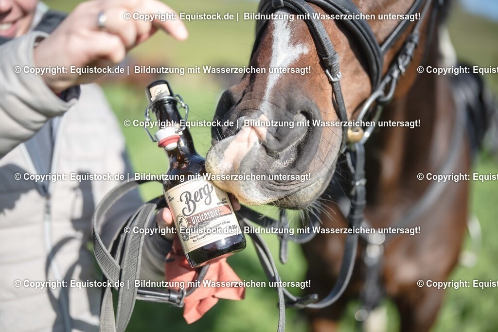 20251011_Jagd-Marbach_0528 | Foto: Thomas Hartig