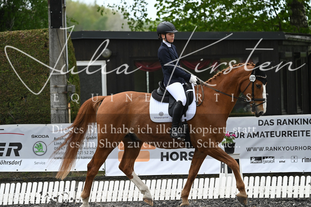 20230512_JK-Röhrsdorf-07-032 | Pferde- und Turnierfotografie in Westsachsen. Pferdeportraits, Auftragszeichnungen und intuitive Kunst.