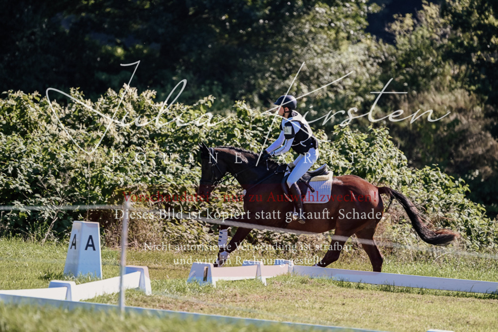 DSC_1435 | Pferde- und Turnierfotografie in Westsachsen. Pferdeportraits, Auftragszeichnungen und intuitive Kunst.