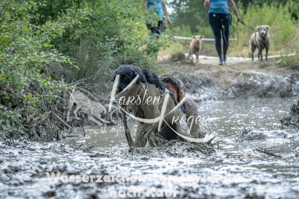 1412_ZZ91664-Verbessert-RR | kk-dogfotos