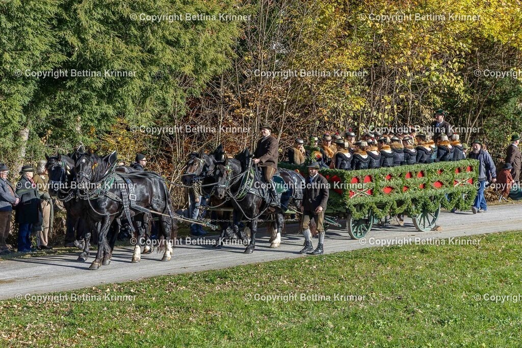 LBT25-678 | foto-bettina-krinner - Realisiert mit Pictrs.com