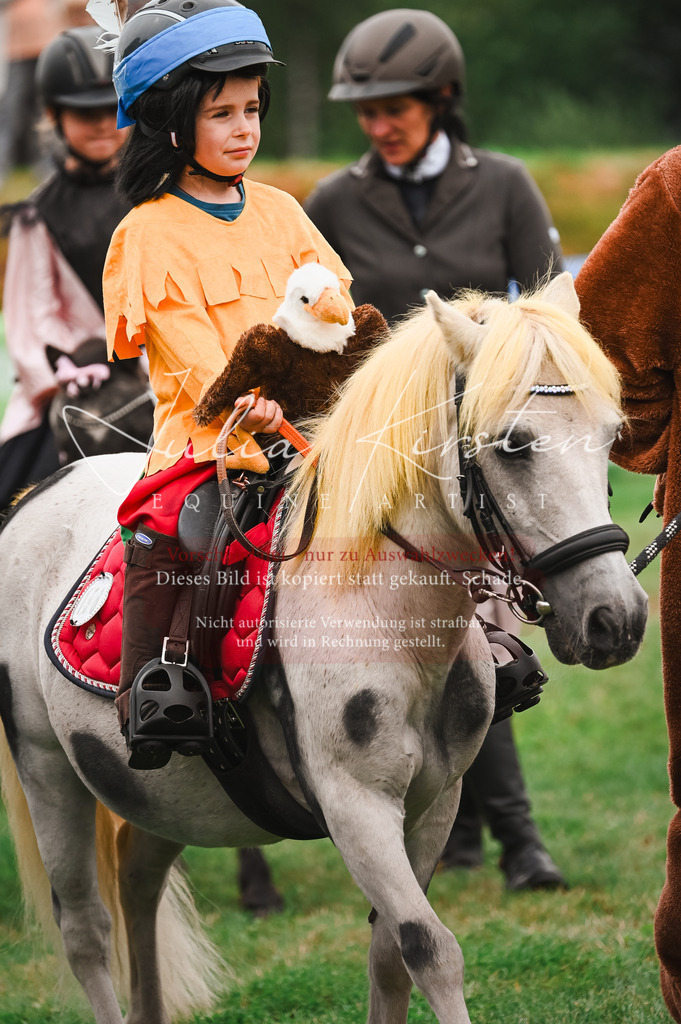DSC_7401 | Pferde- und Turnierfotografie in Westsachsen. Pferdeportraits, Auftragszeichnungen und intuitive Kunst.