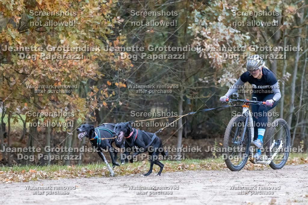 Dog Paparazzi - SD CaniX Championship 2025-159 | Dog Paparazzi Jeanette Grottendiek Fotografie & Videografie - Realisiert mit Pictrs.com