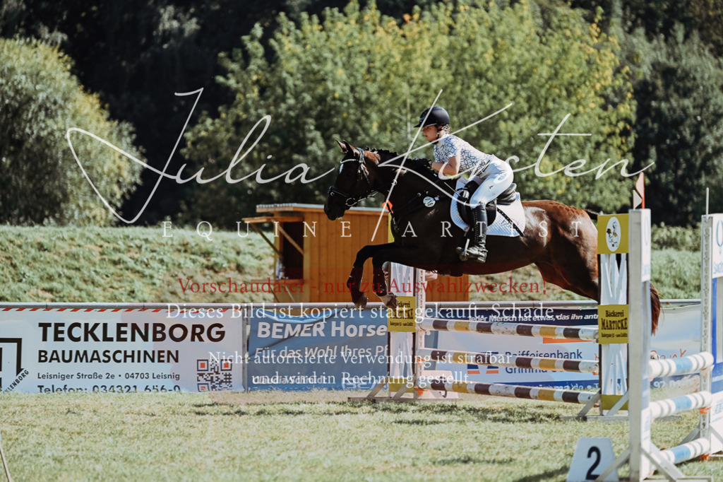 DSC_6753 | Pferde- und Turnierfotografie in Westsachsen. Pferdeportraits, Auftragszeichnungen und intuitive Kunst.