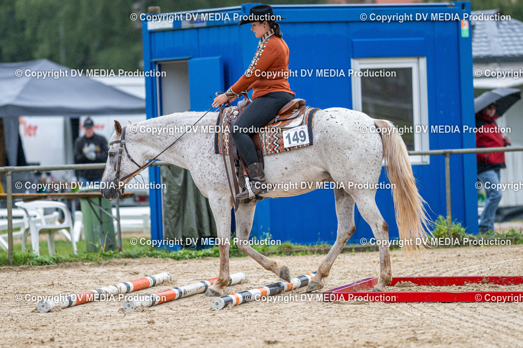 LM Heiligenwald Tag 3-111 | dv-media-shop - Realisiert mit Pictrs.com