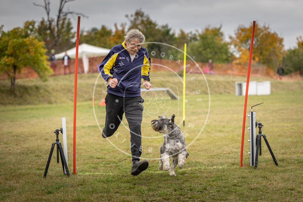 Pfotenfotografie_DV3A5330 | Hundefotografie, Tierfotograf, Pfotenfotografie, Fotoshooting Hund, Hunde Portrait, Hundesport, Hundeportraits, Heideshooting, Hunde, Sportfotograf, Hundefotograf, Turnierhundsport, THS,  - Realisiert mit Pictrs.com