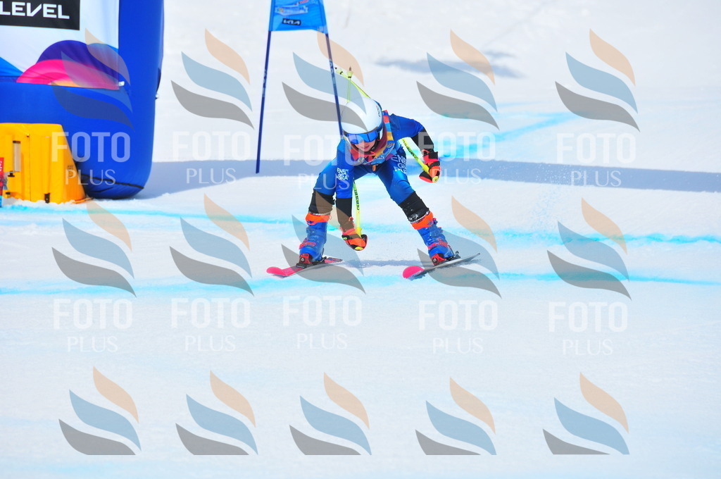 DSC_6138 | holidayphoto