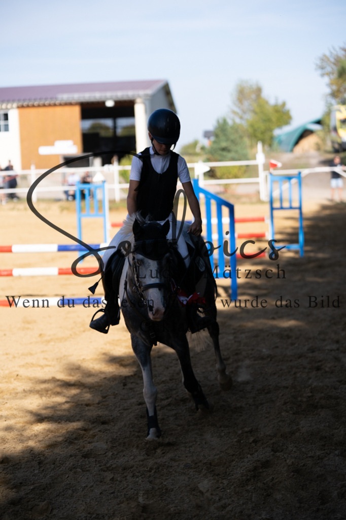 A7V02654 | Pferdefotograf