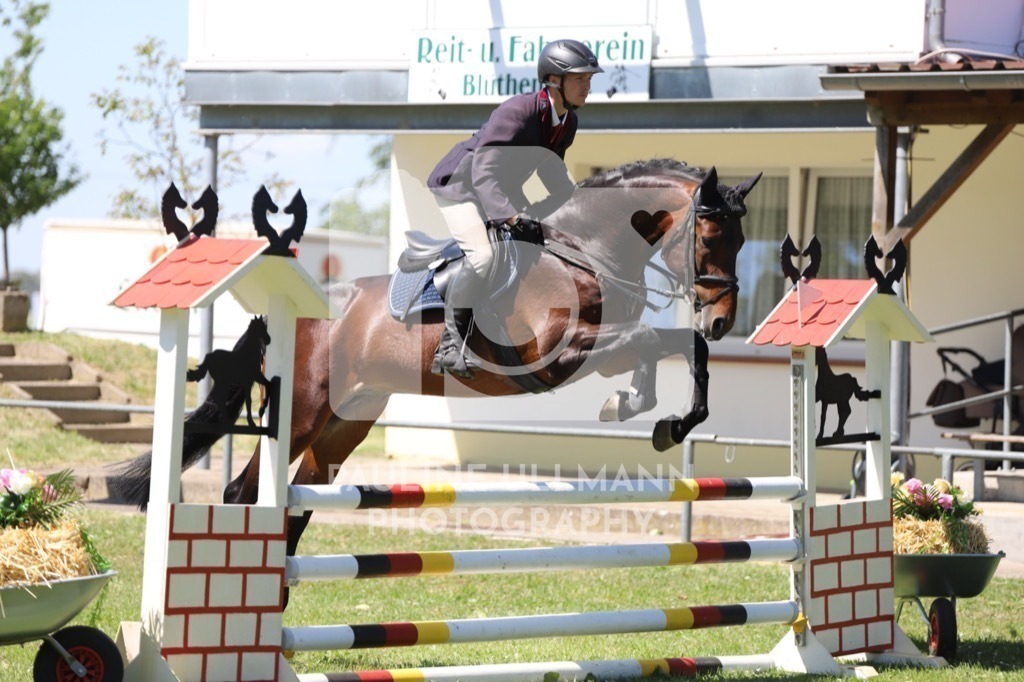 IMG_6301 | Pauline Ullmann Photography - Realisiert mit Pictrs.com