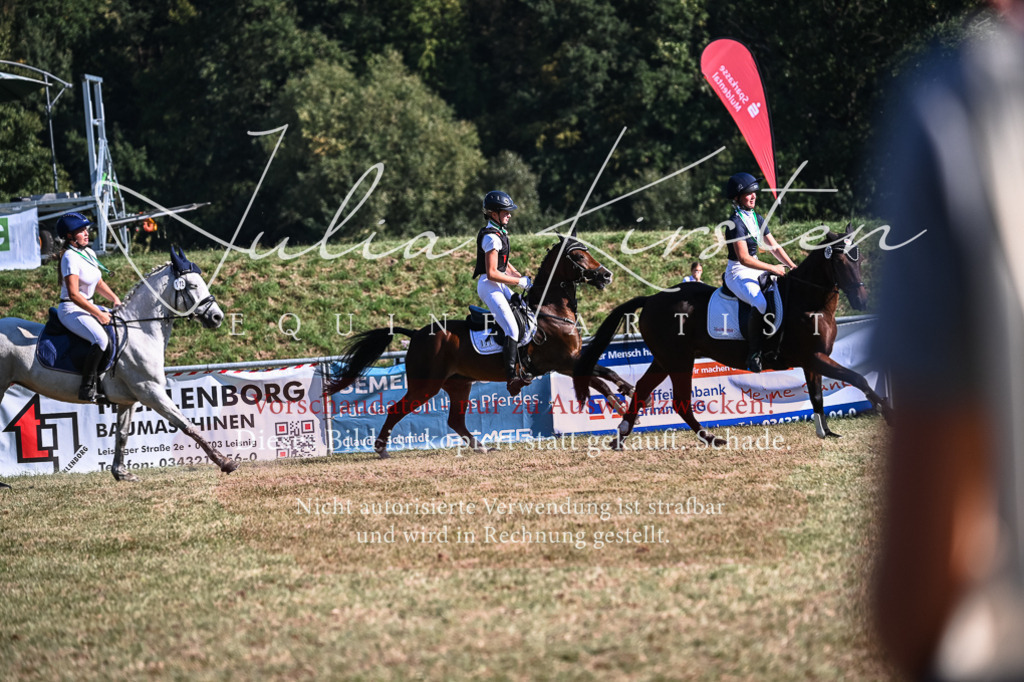 DSC_7144 | Pferde- und Turnierfotografie in Westsachsen. Pferdeportraits, Auftragszeichnungen und intuitive Kunst.