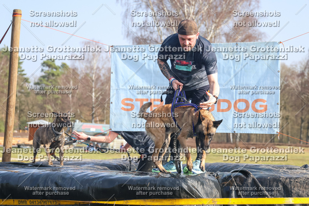 Dog Paparazzi - Strongdog North Mrz26-2332 | Dog Paparazzi Jeanette Grottendiek Fotografie & Videografie - Realisiert mit Pictrs.com