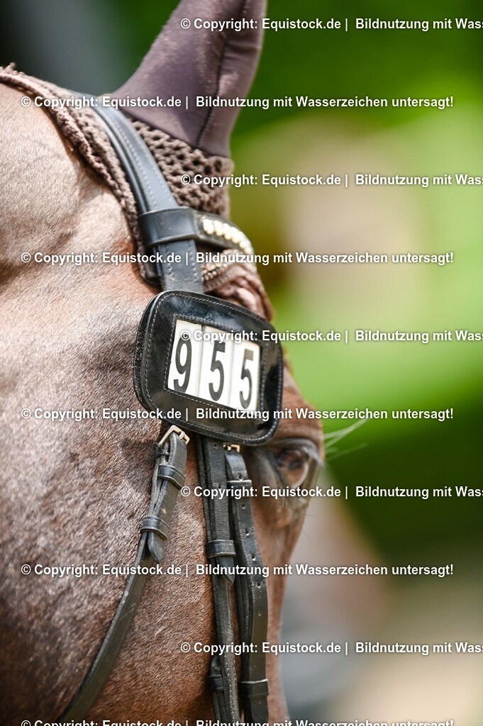 20250608_CVI-Masterclass_0016 | Foto: Thomas Hartig