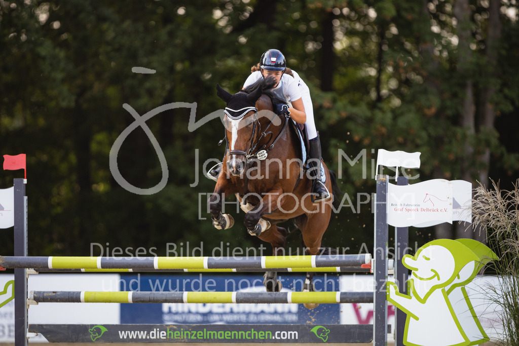 220826_Delbrueck_L-Spr-236 | Deine schönsten Turniermomente als professionelle Fotos! Entdecke hochwertige Pferdesport-Fotografie im Online-Shop. Jetzt Fotos finden & bestellen!