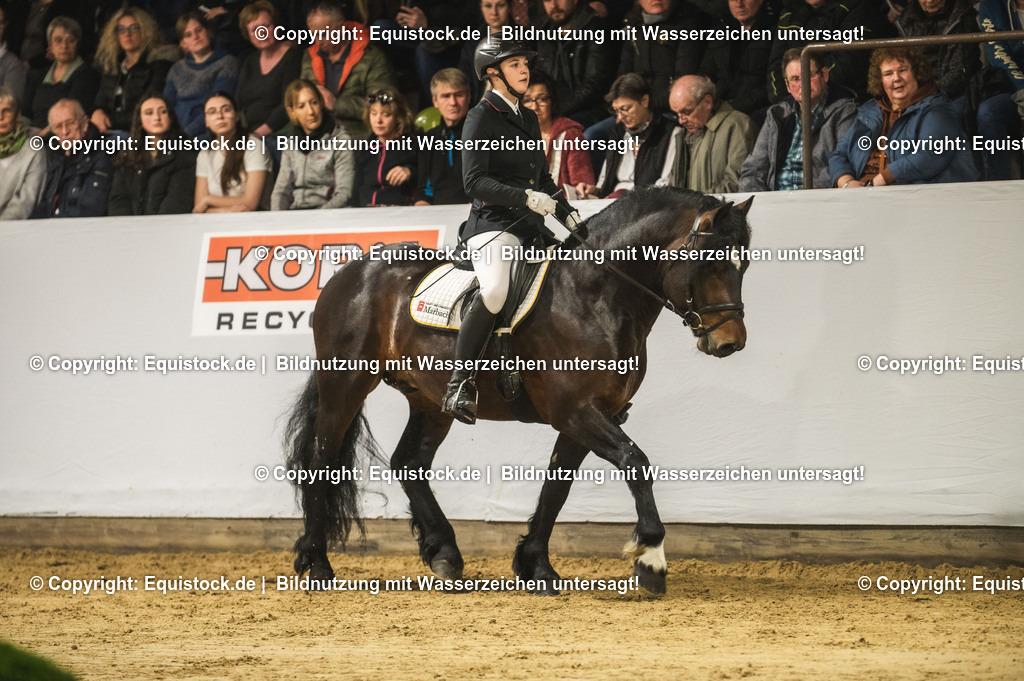 20240302_Hengstvorstellung_Marbach_TOMsPiC_0308 | equistock