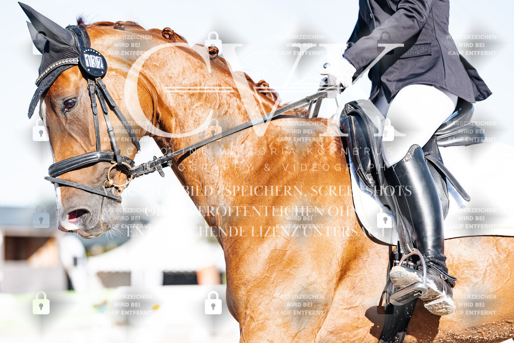 CK907138 | Turnierfotografie Pferdefotografie Trier Rheinland-Pfalz Pferdesport Reitsport Tierfotografie Sportfotografie Pferdevideo Pferdevideografie Equestrianvideography equestrianphotography  - Realisiert mit Pictrs.com