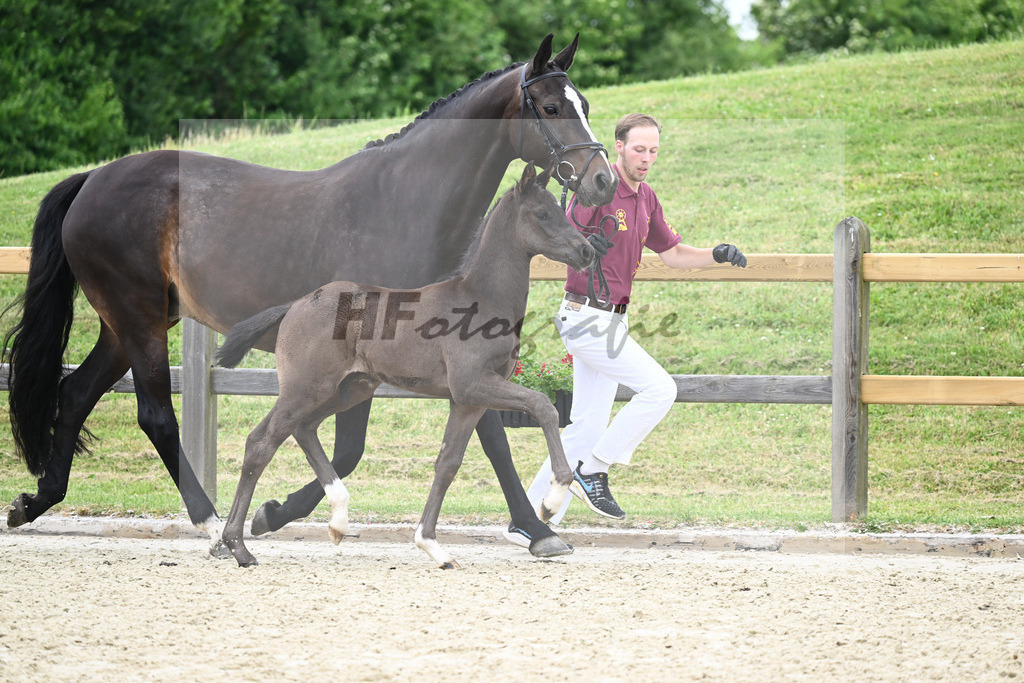 Kat-Nr. 35 HF DSP Feliciano_Niedermair_17230888 | hf-fotografie - Realizzato con Pictrs.com