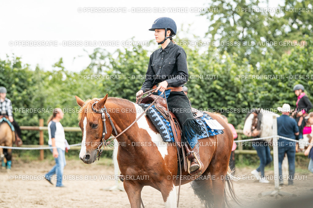 DSC01216 | Pferdegrafie