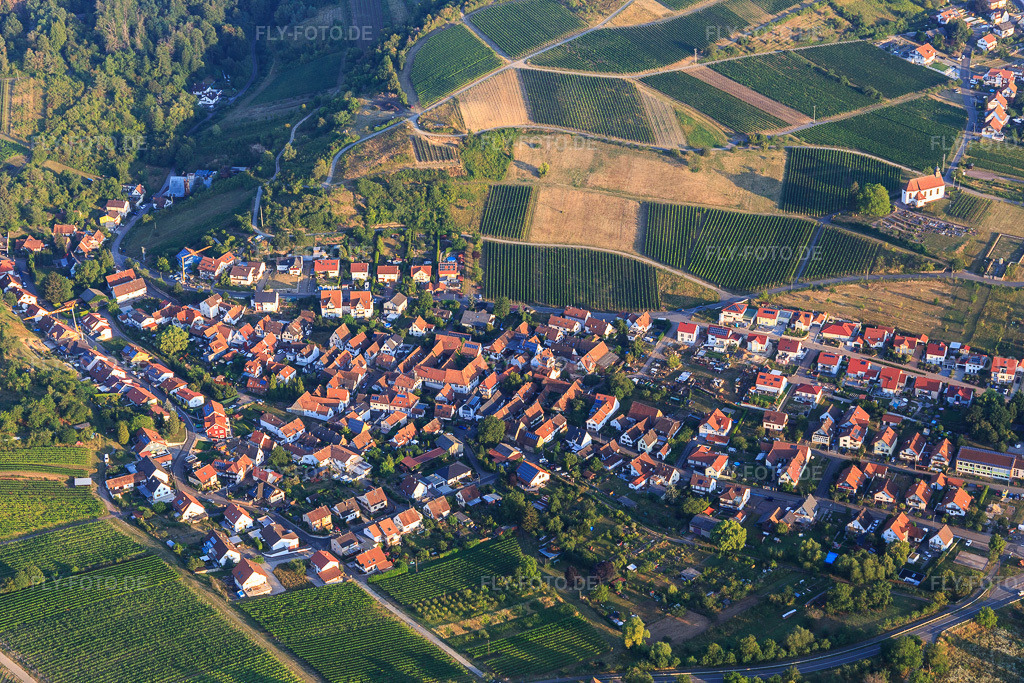 Luftbild: Ortsansicht von Südosten im Ortsteil Gleiszellen in Gleiszellen-Gleishorbach im Bundesland Rheinland-Pfalz in Deutschland. Foto: IMG_121948.jpg vom 08.08.2020 durch Werner Riehm/FLY-FOTO.de