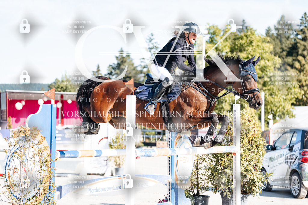 CK904246 | Turnierfotografie Pferdefotografie Trier Rheinland-Pfalz Pferdesport Reitsport Tierfotografie Sportfotografie Pferdevideo Pferdevideografie Equestrianvideography equestrianphotography  - Realisiert mit Pictrs.com