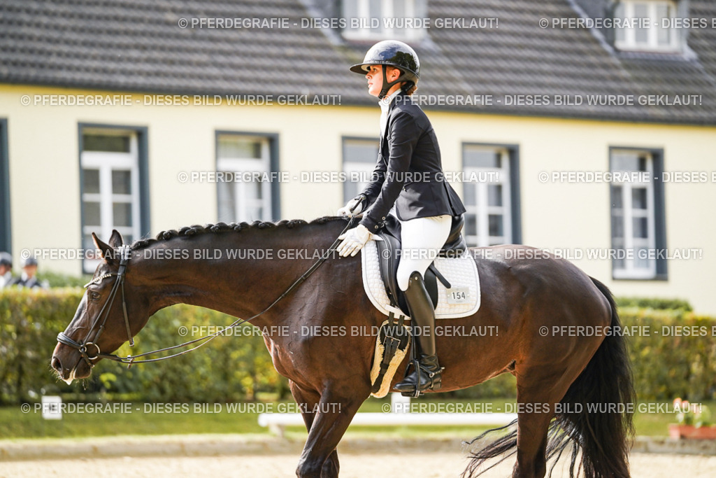 DSC00929 | Pferdegrafie