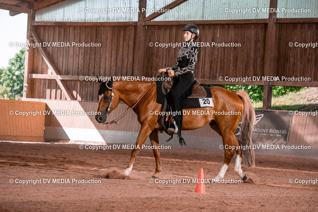 NE100265 | dv-media-shop - Realisiert mit Pictrs.com