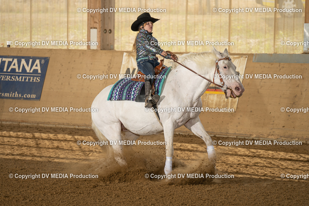 LAU01751 | dv-media-shop - Realisiert mit Pictrs.com