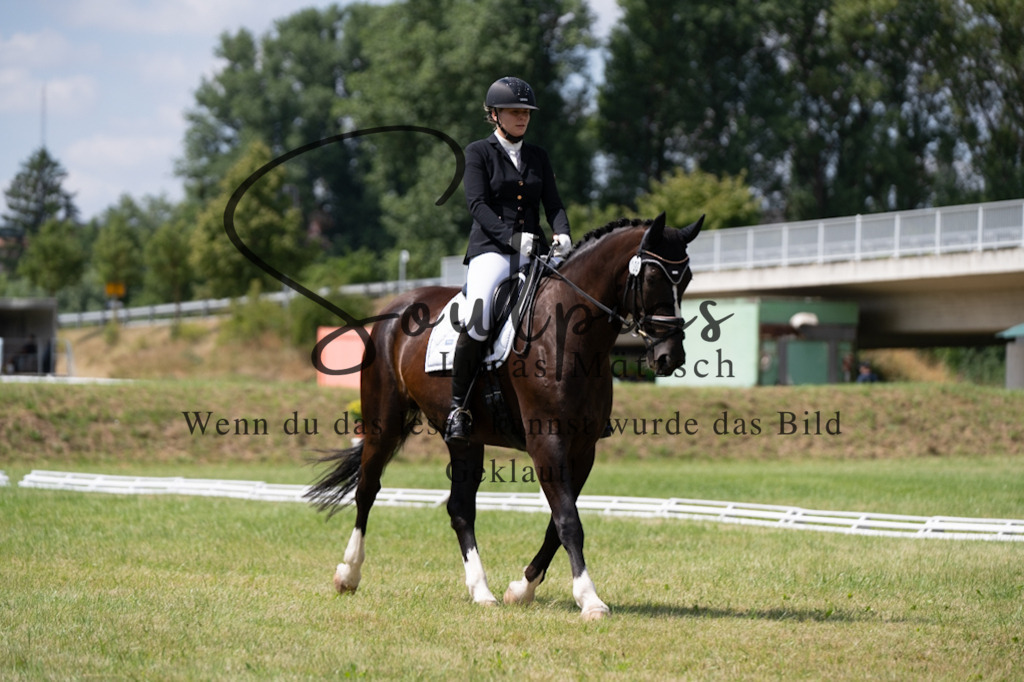 A7V09889 | Pferdefotograf