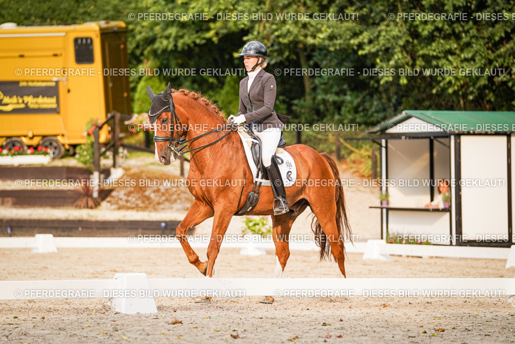 DSC09445 | Pferdegrafie