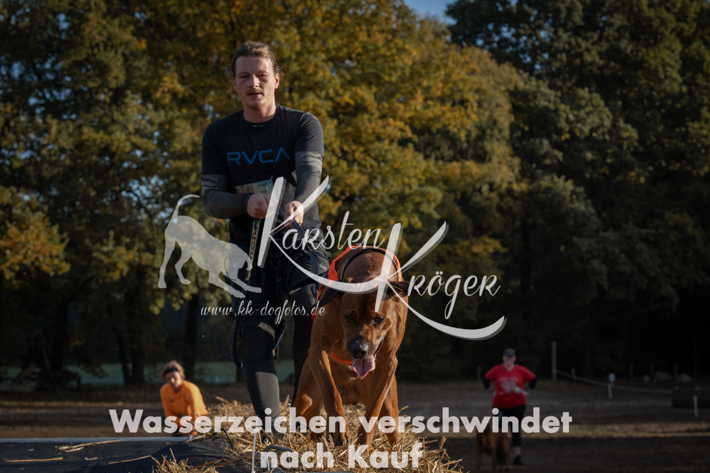 0950_ZZ95072 | kk-dogfotos