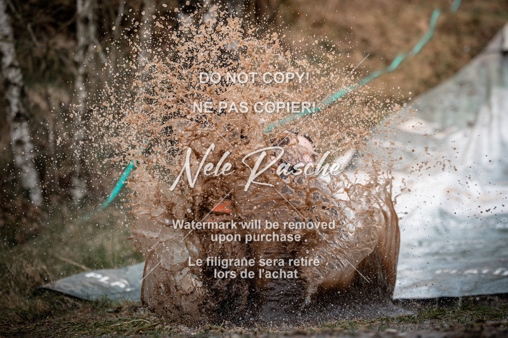 nelerasche_1330-1400_17 | nelerasche