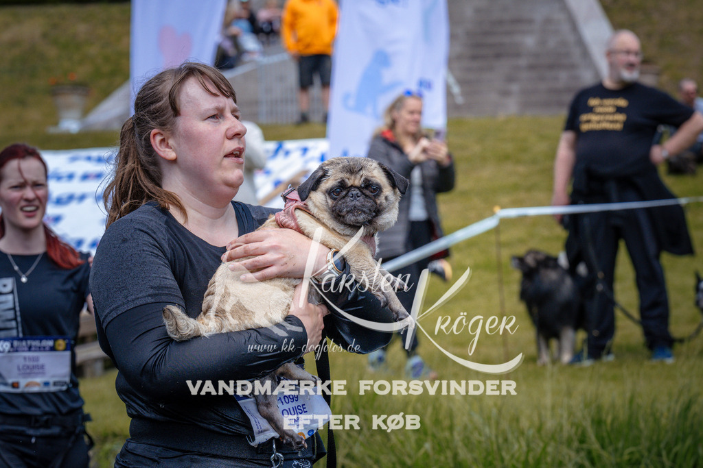 _ZZ963861016 | kk-dogfotos