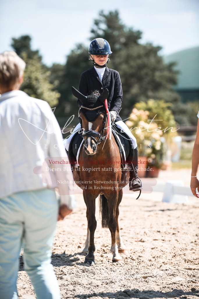 DSC_8793 | Pferde- und Turnierfotografie in Westsachsen. Pferdeportraits, Auftragszeichnungen und intuitive Kunst.