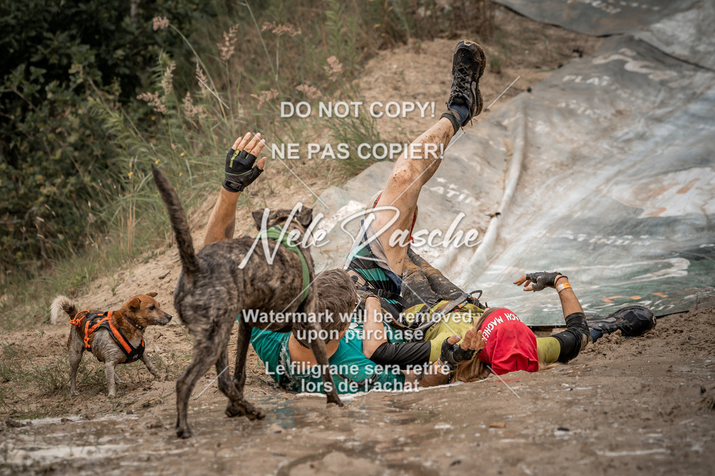 nelerasche_sa1200-1230_372 | nelerasche