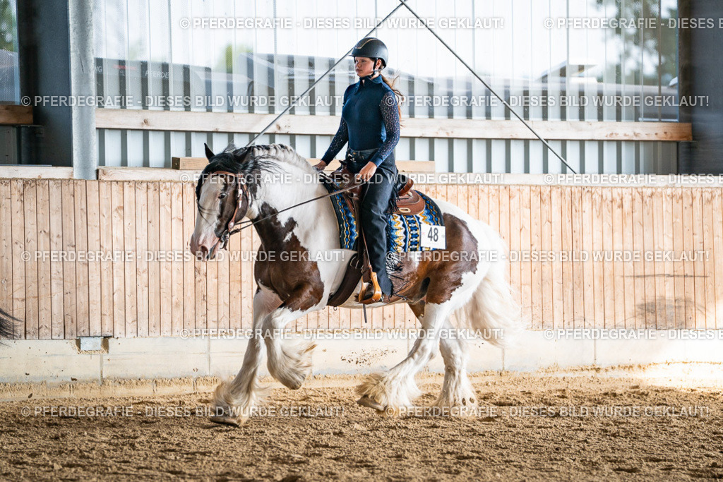 DSC08316 | Pferdegrafie