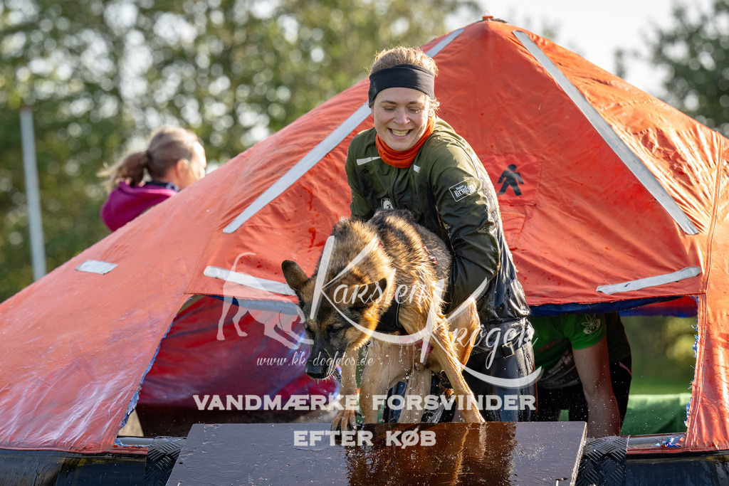 1115-91942 | kk-dogfotos