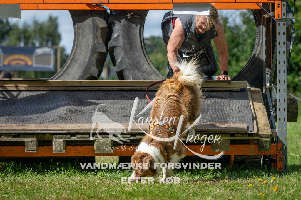 1549_ZZ94398 | kk-dogfotos