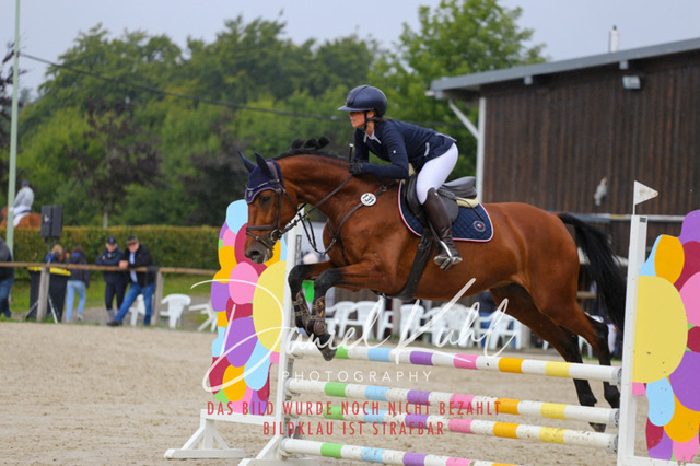 IMG_5084 | Turniersportfotografie; Pferdefotografie; Dressurfotografie