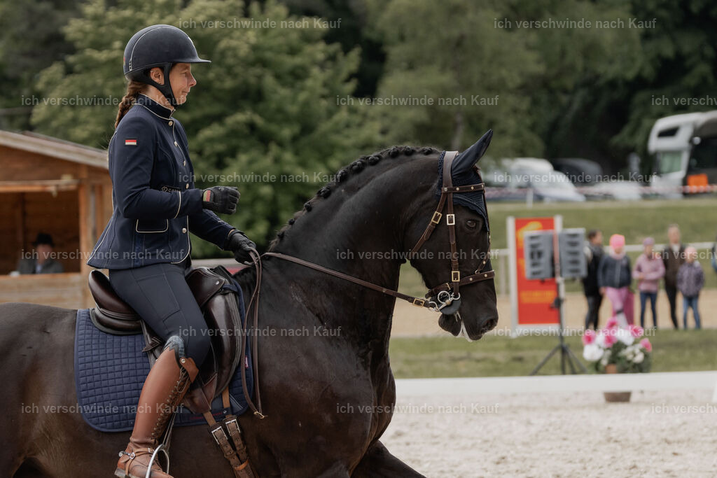 WE_DR_Stoib_315_PI2025_289 | Pferd International München 2025