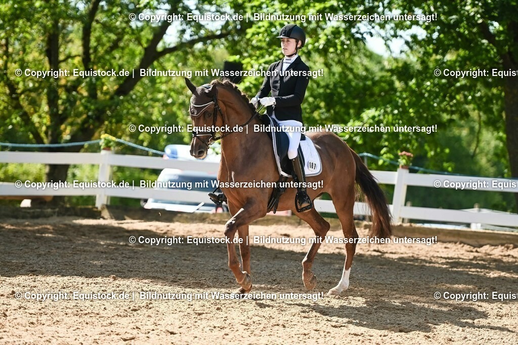 20230715_06_Dressurpferdeprfg. Kl.A_0415 | equistock